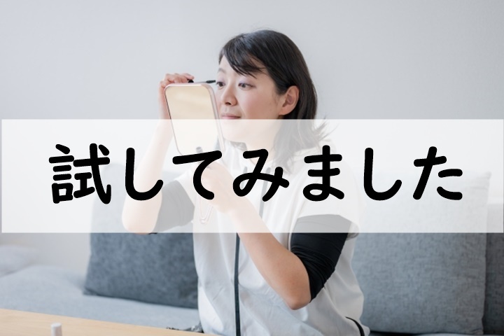 試してみました