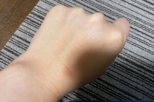 canmakeおすすめの使い方1