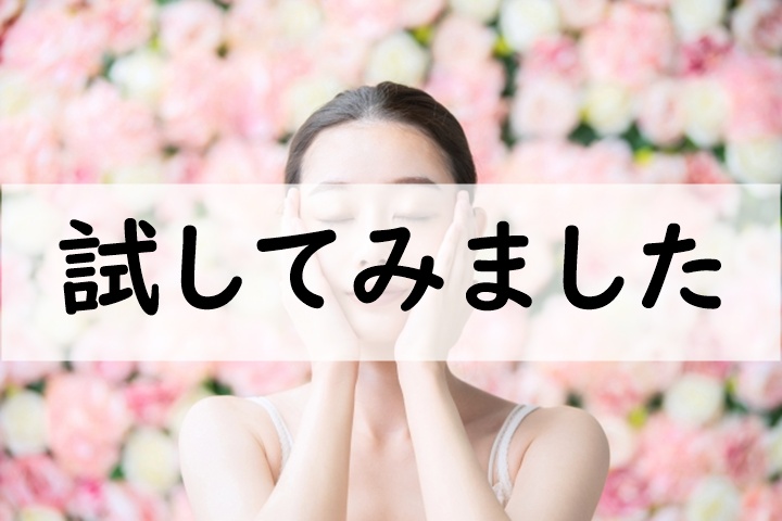 試してみました
