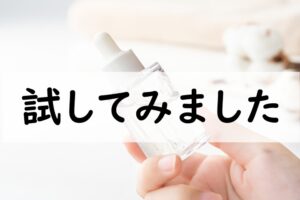 試してみました