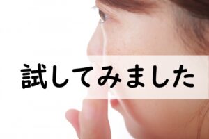 試してみました