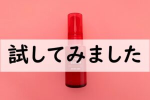 試してみました