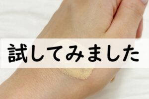 試してみました