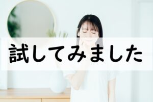 試してみました