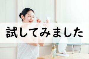 試してみました