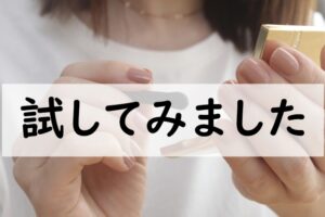 試してみました