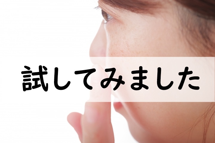 試してみました