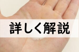 詳しく解説