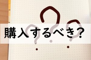 購入するべき