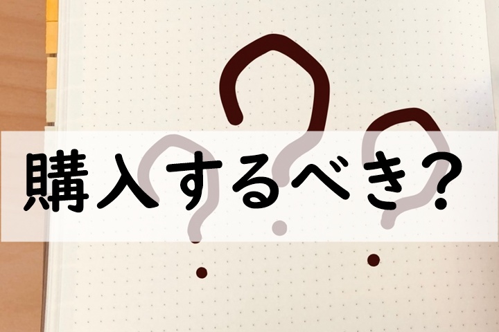購入するべき