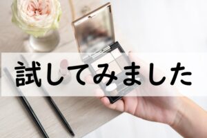 試してみました