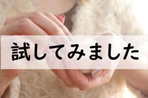 試してみました
