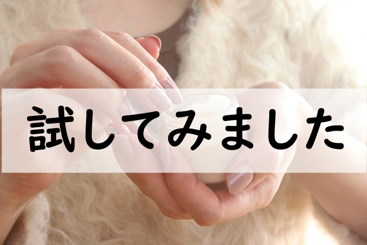 試してみました