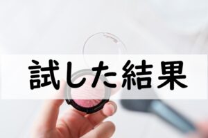 試した結果