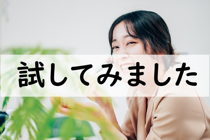 試してみました