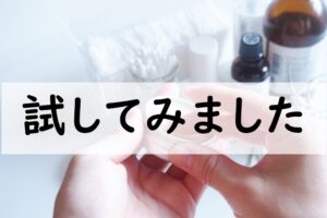 試してみました