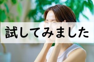 試してみました