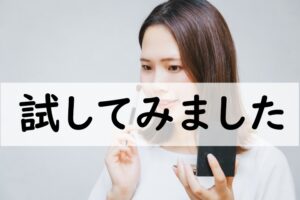 試してみました