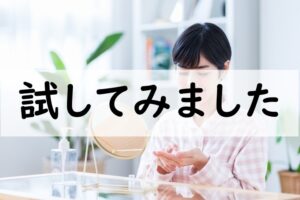 試してみました