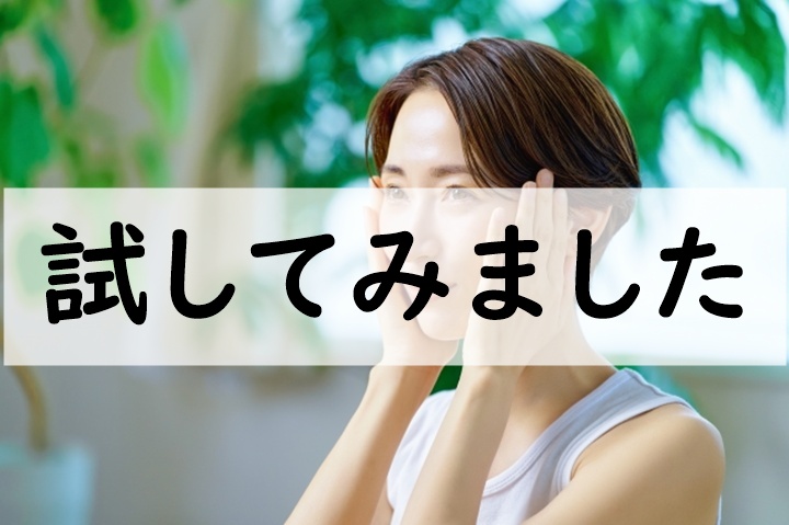試してみました