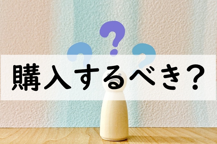 購入するべき