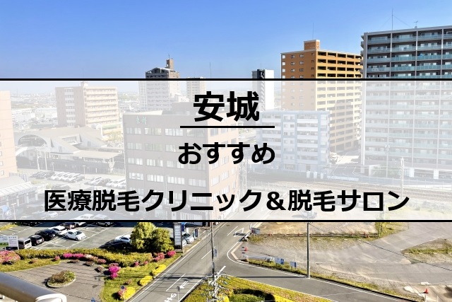 安城市の風景